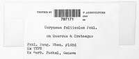 Image Associated With the Occurence